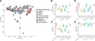 Comparative Gut Microbiome in Trachypithecus leucocephalus and Other Primates in Guangxi, China, Based on Metagenome Sequencing